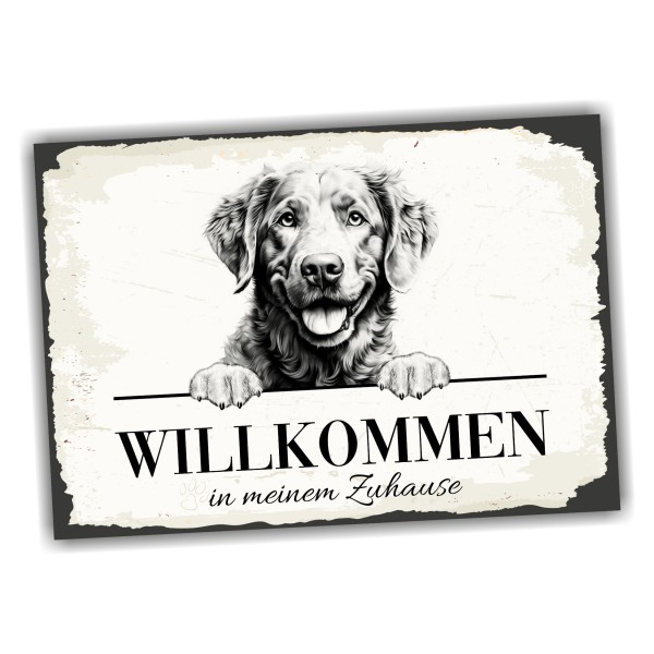 Hundeschild Willkommen Zuhause Chesapeake Bay RetrieverSchild Achtung