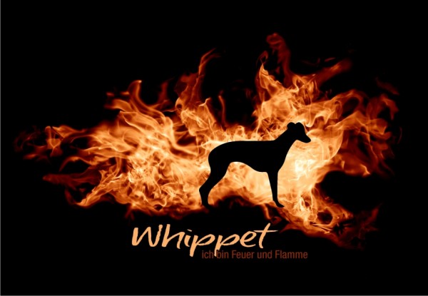 UTFlamme_WhippetMo
