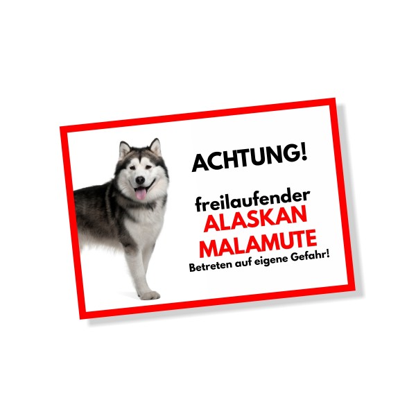 Alaskan Malamute Schild Achtung Freilaufender Hund Spruch Türschild Hundeschild Warnschild Fun