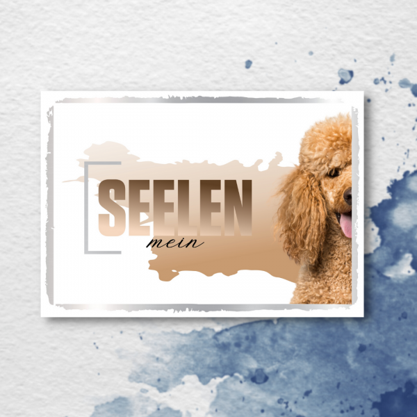 SeeleD_Pudel2