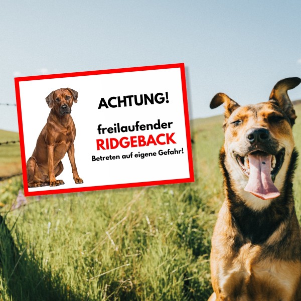 SchildFrei_Ridgeback1