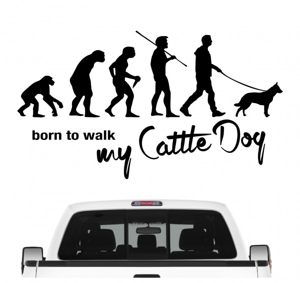 Australian Cattle Dog ACD Cattle Dog Blue Heeler Red Heeler Queensland Heeler Australischer Treibhund Evolution Born to Walk Hunde Aufkleber Sticker Autoaufkleber Wandtattoo Tattoo