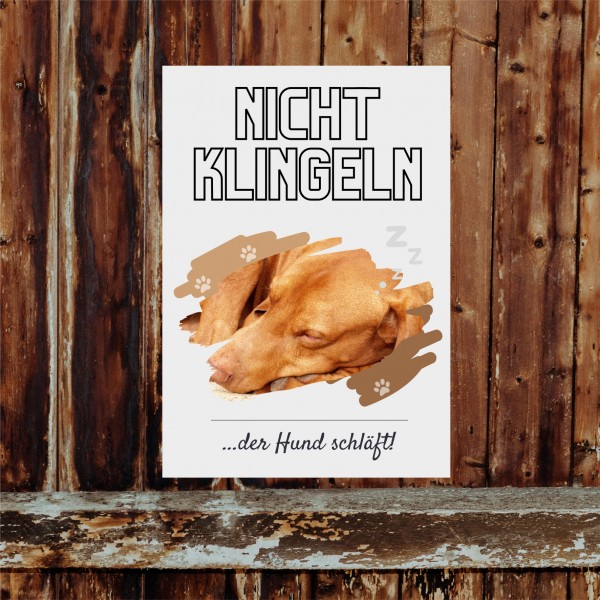 Magyar Vizsla Hund nicht klingeln schlafen Schild Dog Hund Spruch Türschild Hundeschild Wall Art Gefährte