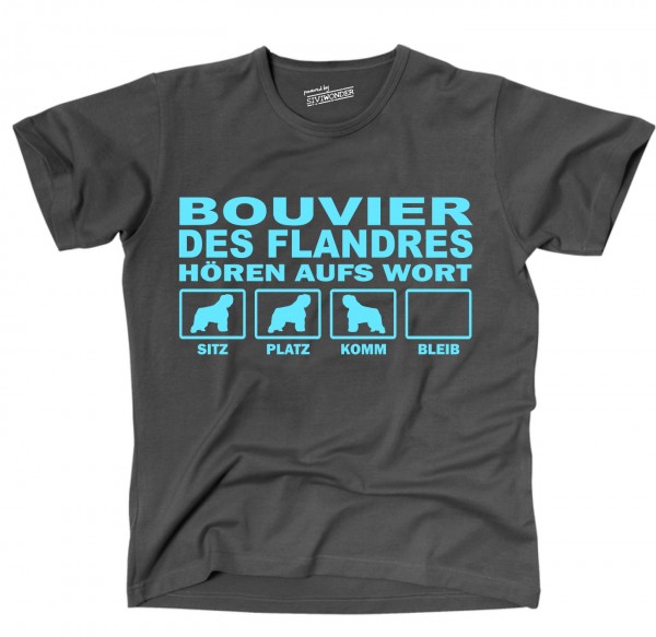 UTHAWBouvierdFlandresDG