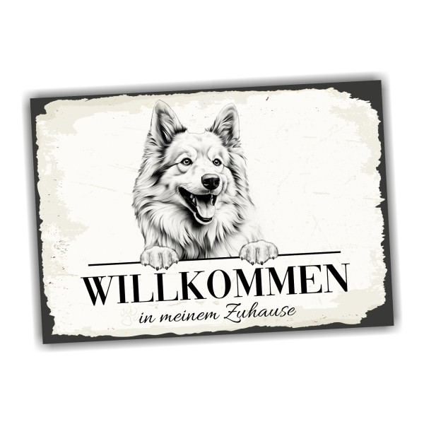 Hundeschild Willkommen Zuhause Islandhund Spitz Schild