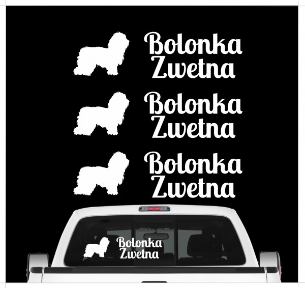 A_3er_BolonkaZwetnaW