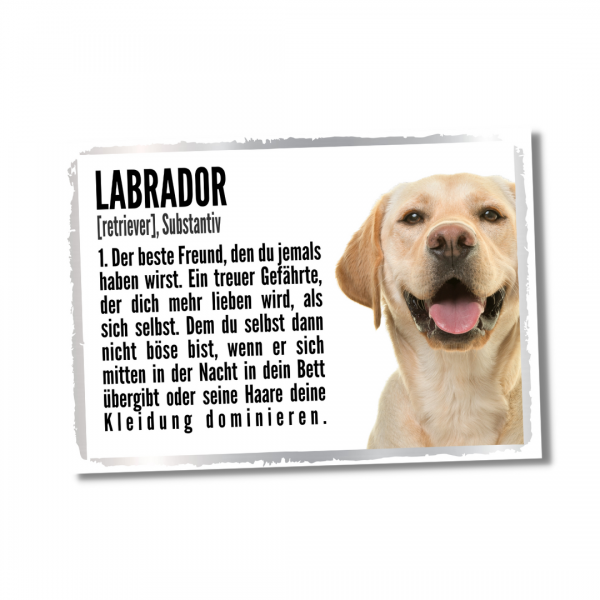 Duden_Labrador1